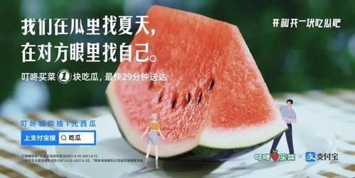 吃瓜花的文案视频大全,趣味横生的娱乐盛宴