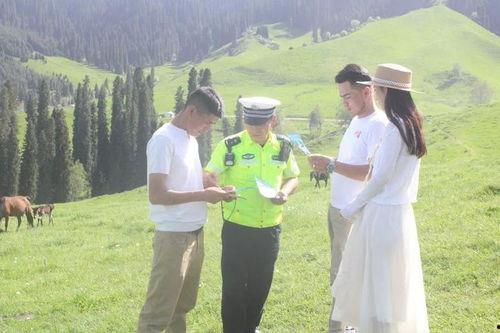 伊犁吃瓜新闻事件视频最新,一场引发热议的乡村美食事件