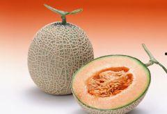 挑战吃冰镇哈密瓜视频,哈密瓜的极致诱惑，你敢来试吗？