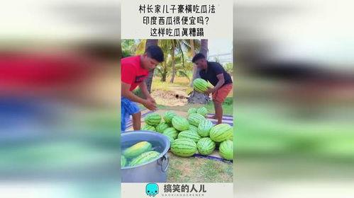 豪横吃瓜的视频,揭秘网络红人幕后故事